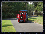 Texas Express Trackless Train 3